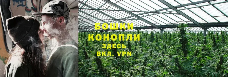 Бошки Шишки SATIVA & INDICA  Горнозаводск 